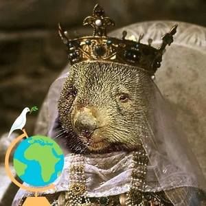 Meet your Posher, Debra